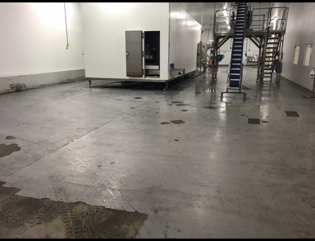 lakeville ma food processing facility floors